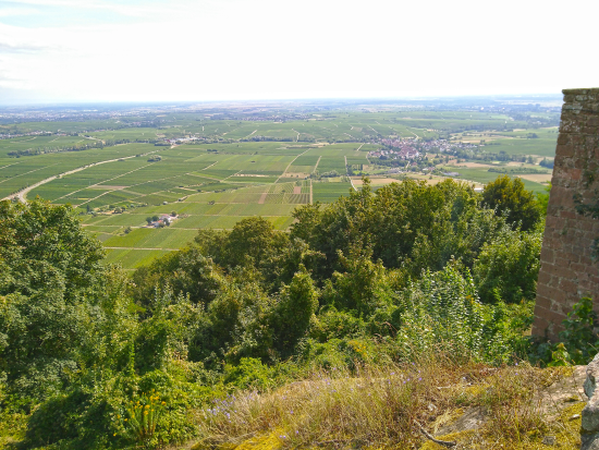 Auf dem Höhenweg zur Madenburg 2019